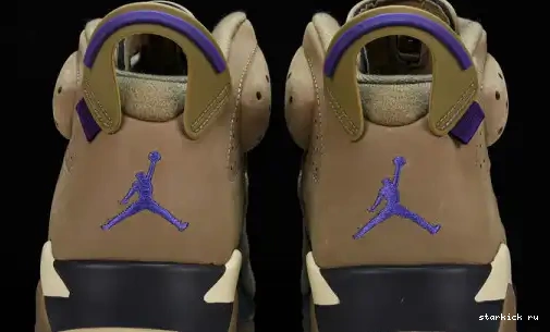 Retro Kelp 6 Gore-Tex Brown FD1643-300 Jordan FD1643-300  0611